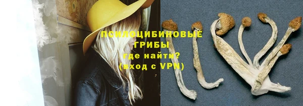 МДПВ Арсеньев