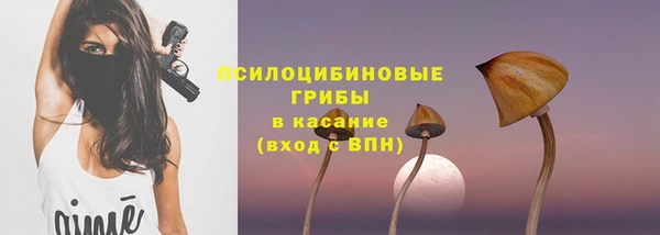 Альфа ПВП Армянск