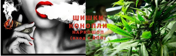 ПСИЛОЦИБИНОВЫЕ ГРИБЫ Аркадак